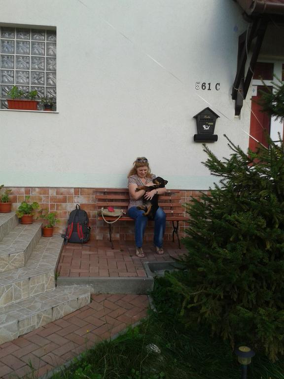 Pension Piatra Craiului Moieciu de Jos Exterior foto