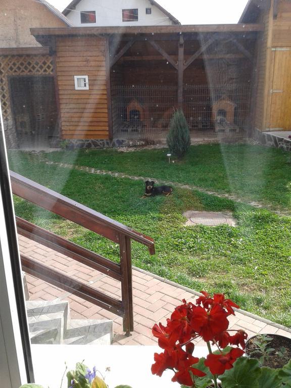 Pension Piatra Craiului Moieciu de Jos Exterior foto